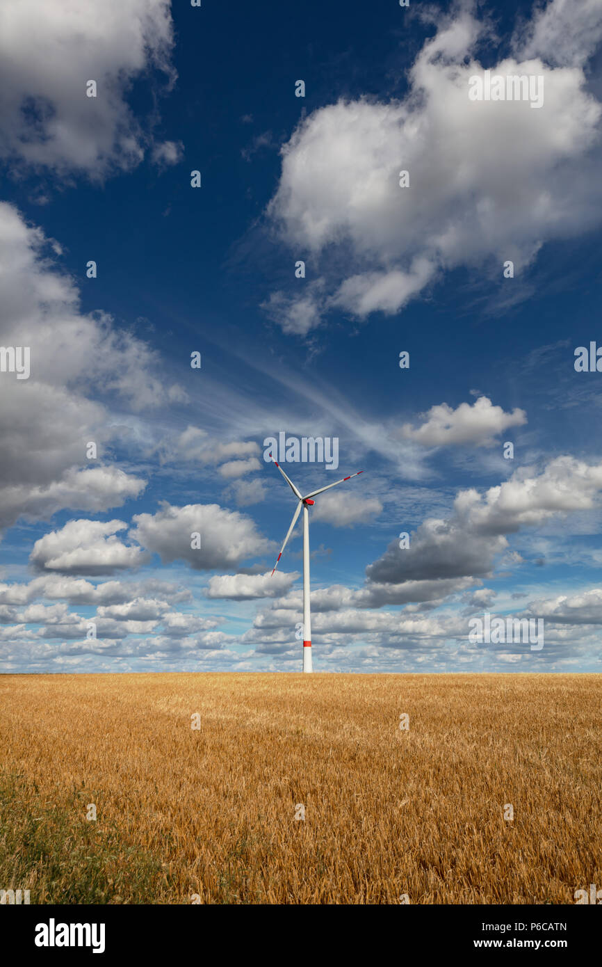 Turbina eolica in un campo di grano vicino a Helmstadt, Germania Foto Stock