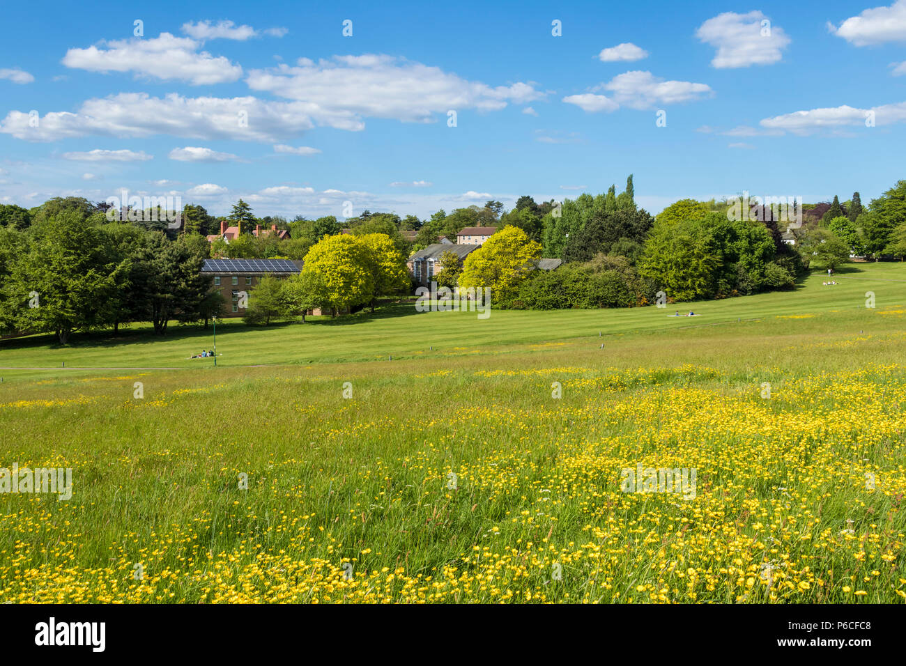 Vista del derby sale di soggiorno in tutta l'Università di Nottingham downs Università di Nottingham campus Università di Nottingham Inghilterra gb uk europa Foto Stock