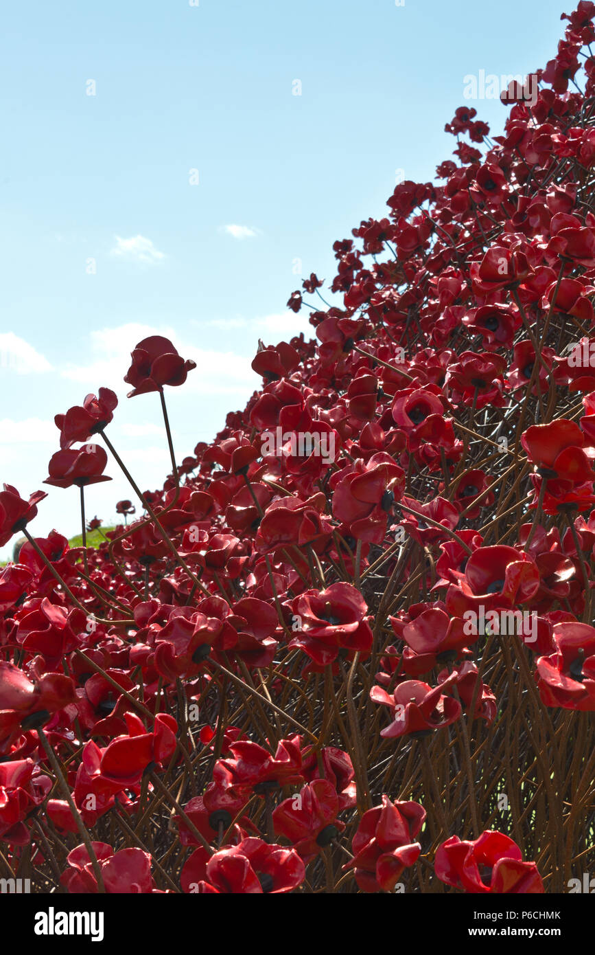 Il "Wave" papaveri in ceramica a Fort Nelson, Portsmouth, Hampshire, Regno Unito. Parte del "sangue spazzata di terre e mari di rosso' arte di installazione Foto Stock