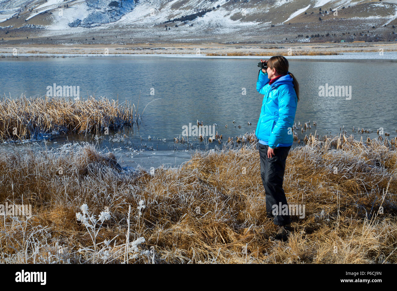 Birdwatching da stagno al cerchio di inverno, Estate Lago di Area faunistica, Oregon Outback Scenic Byway, Oregon Foto Stock