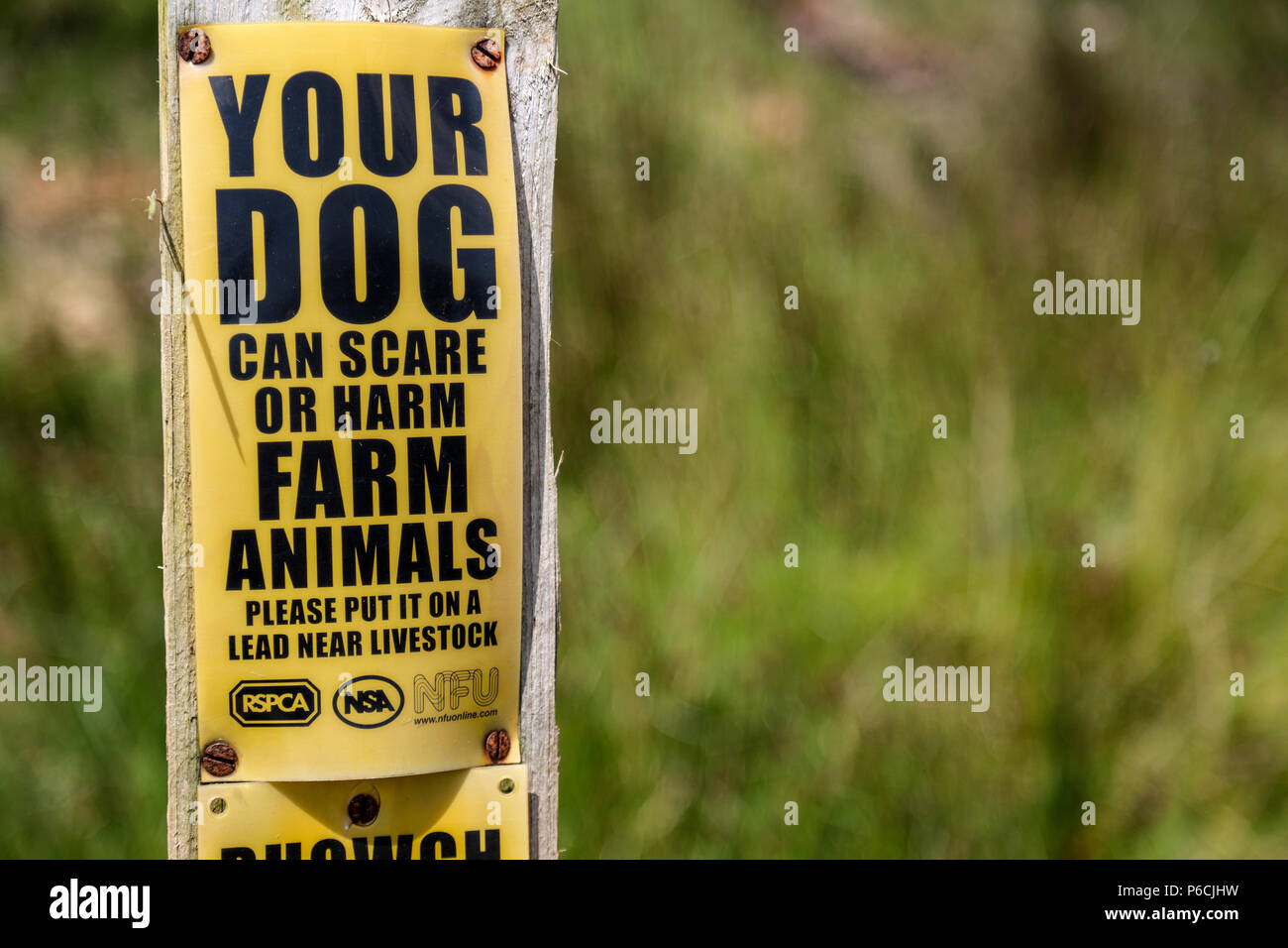 Avviso in un campo in Galles, chiedendo alle persone di mantenere il loro cane al guinzaglio o guinzaglio, dovuta all'prescence di animali da fattoria. Foto Stock
