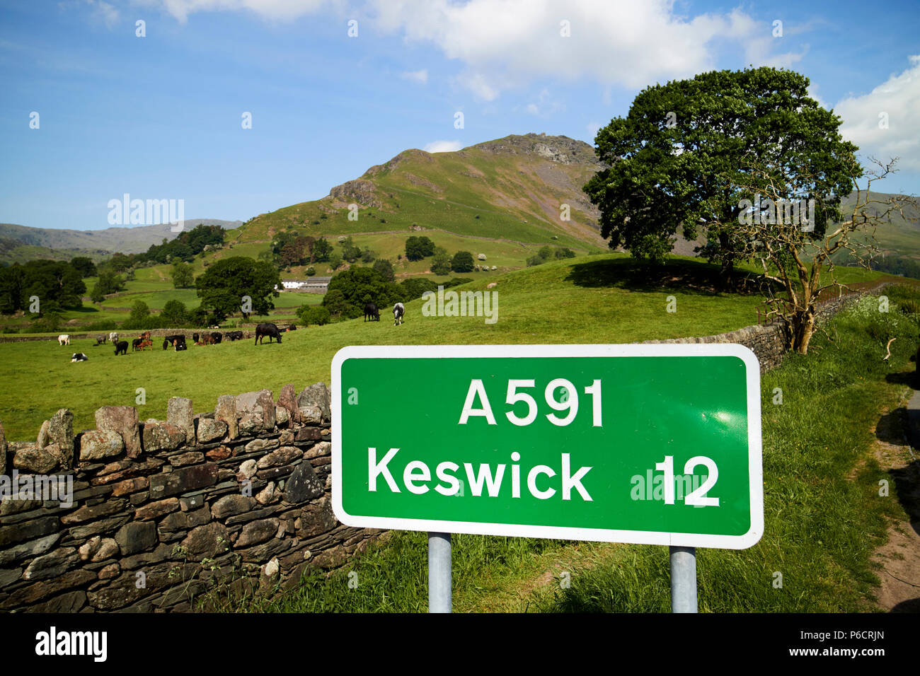 Cartello stradale per la a591 con distanza a Keswick nella parte anteriore dei campi e colline vicino a Grasmere nel Lake District Cumbria Inghilterra England Regno Unito Foto Stock