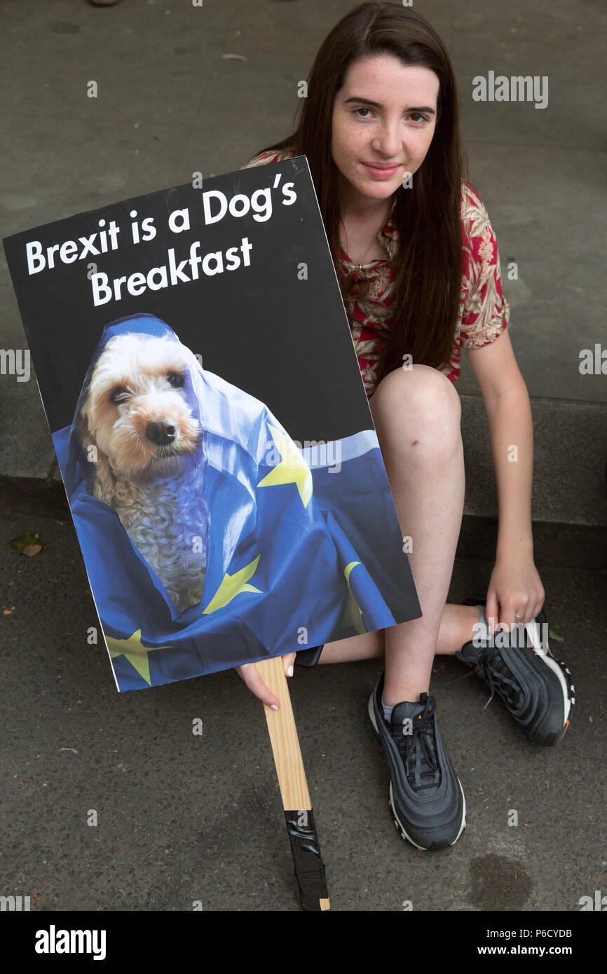 Voto popolare anti-Brexit protesta: 100'000 marzo a Piazza del Parlamento il 23 giugno 2018, due anni dopo il referendum Brexit votazione. Foto Stock