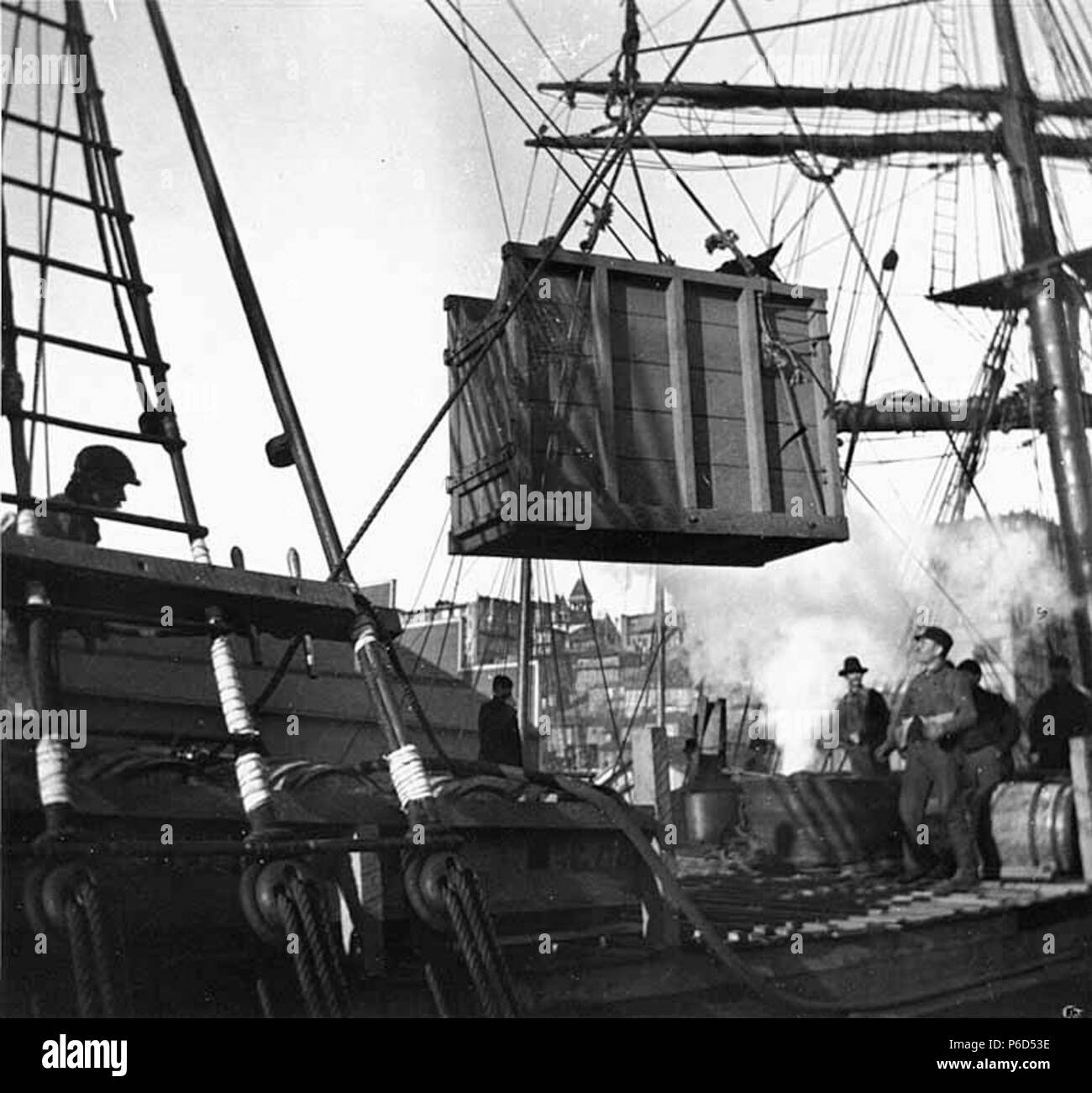 . Inglese: Caricamento di un mulo sul ponte della goletta LUCILE, Seattle, 15 febbraio 1898 . Inglese: Il Lucile era probabile tenendo i cercatori di Klondike durante la corsa all'Oro nel Klondike di 1897-8 . Testo da Kiehl log: Lucile caricamento di mulo n. 4, Feb 15, 1898 Album 2,92 soggetti (LCSH): muli--Washington (stato)--Seattle; Lucile (nave); Golette--Washington (stato)--Seattle . 1898 61 Caricamento di un mulo sul ponte della goletta LUCILE, Seattle, 15 febbraio 1898 (KIEHL 299) Foto Stock