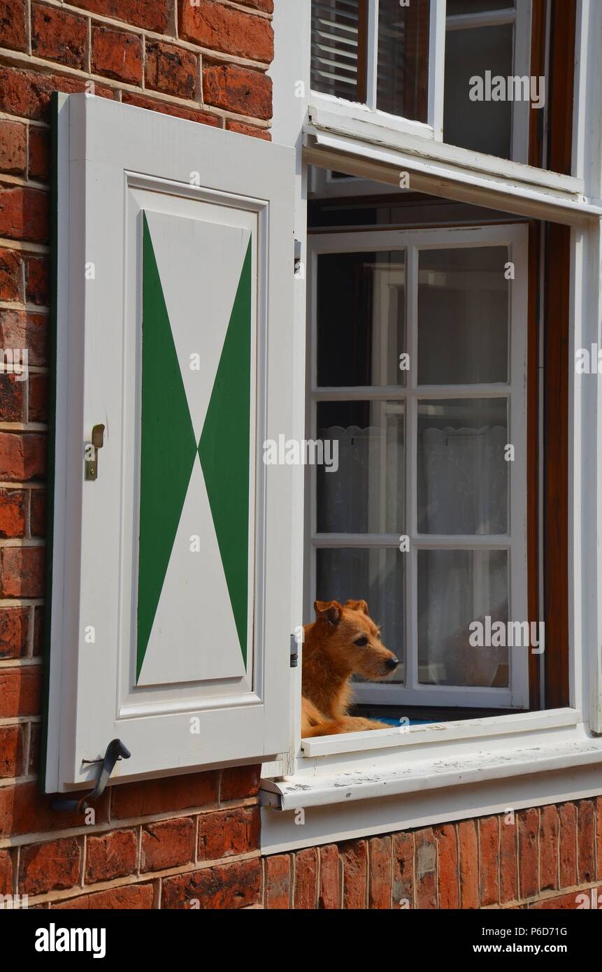 Il quartiere olandese di Potsdam vicino a Berlino, Germania Foto Stock