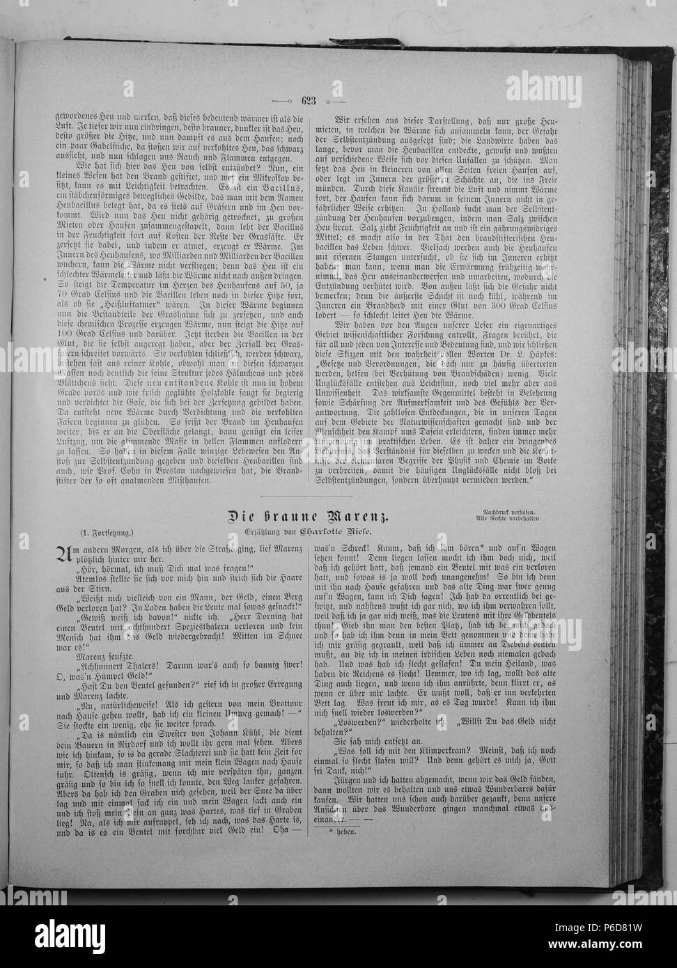 . Die Gartenlaube. Deutsch: Seite 623 aus 'Die Gartenlaube'. Inglese: pagina 623 da ufficiale Die Gartenlaube per 1895. Immagine estratta (eventuale): File:Die Gartenlaube (1895) b 623.jpg - hi res, 2,5 MB. Deutsch: keine Bildunterschrift inglese: nessuna didascalia . N/A 21 Die Gartenlaube (1895) 623 Foto Stock