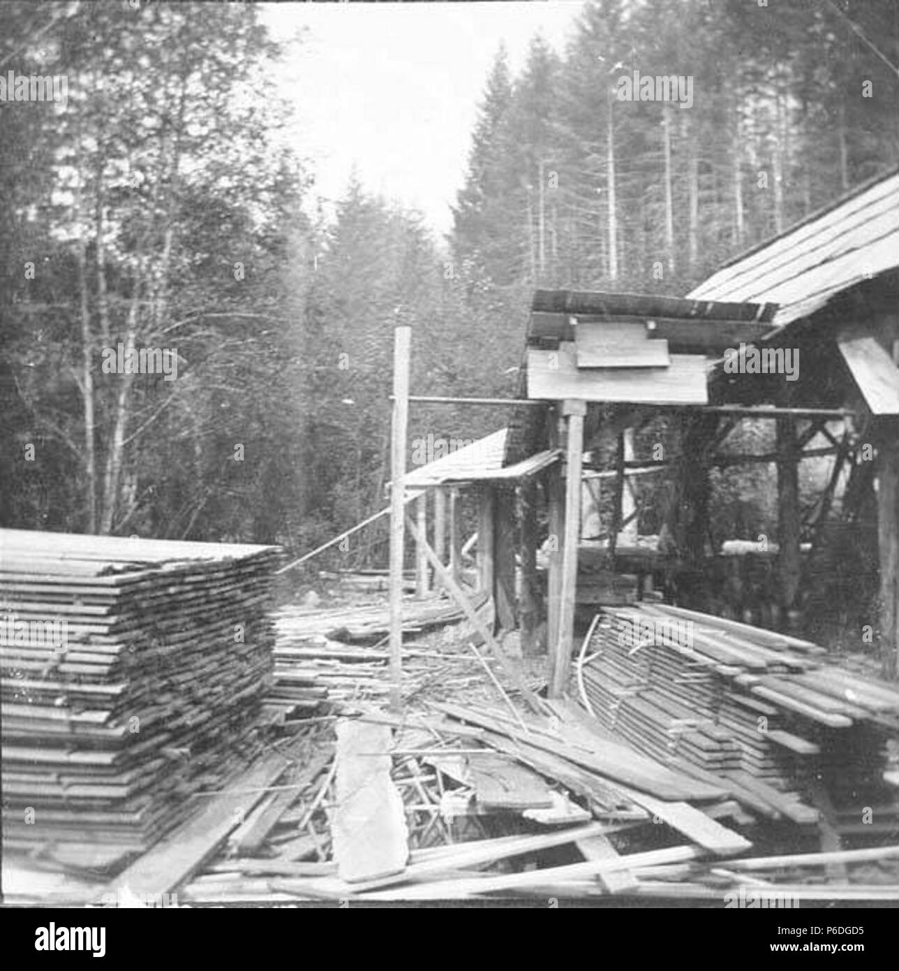 . Inglese: Haines Lumber Mill, Succotash Valley, agosto 1896 . Inglese: ora si trova a Mount Rainier National Park che è stato istituito nel 1899. PH Coll 35.167 soggetti (LCTGM): Mills--Washington (stato); industria del legname--Washington (stato); legname--Washington (stato); Lumber yard--Washington (stato) soggetti (LCSH): Haines Lumber Mill (Washington) . 1896 51 Haines Lumber Mill, Succotash Valley, Agosto 1896 (SARVANT 110) Foto Stock