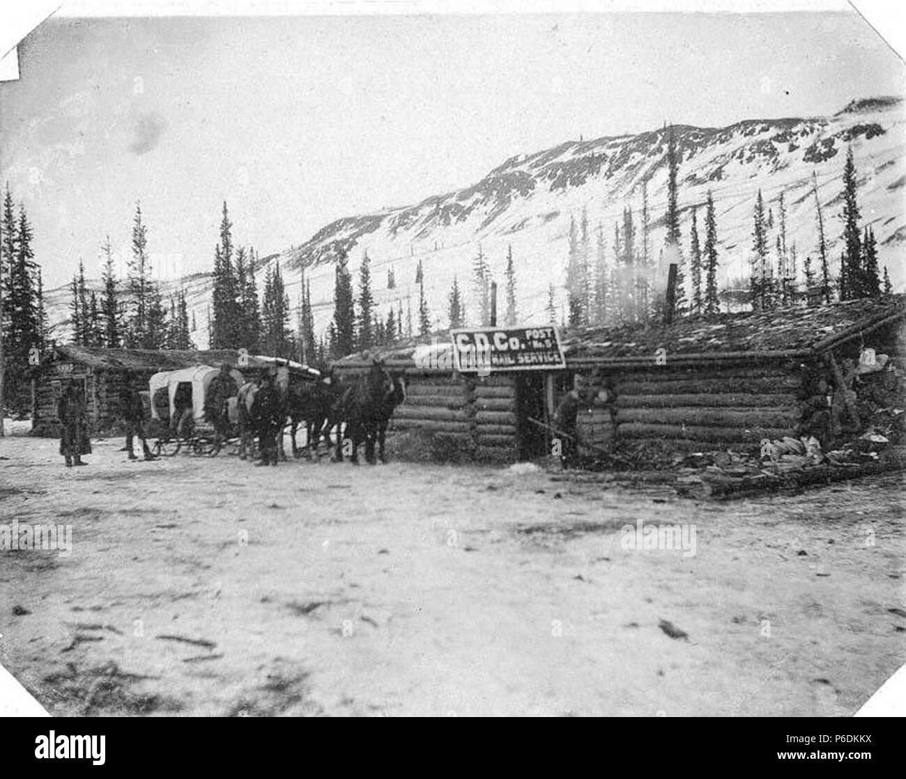 . Inglese: uomini e cavallo sled davanti al Royal Mail Service office, in prossimità del lago LaBerge, Marzo 14, 1901 . Inglese: didascalia con immagine: C.D. Post n. 5 tra LeBarge e tantalo, Marzo 14, 1901 PH Coll 35.568 soggetti (LCTGM): gli uffici postali--Yukon; carrelli e carri--Yukon; cavalli--Yukon; edifici Log--Yukon . 1901 63 uomini e cavallo sled davanti al Royal Mail Service office, in prossimità del lago LaBerge, Marzo 14, 1901 (SARVANT 172) Foto Stock