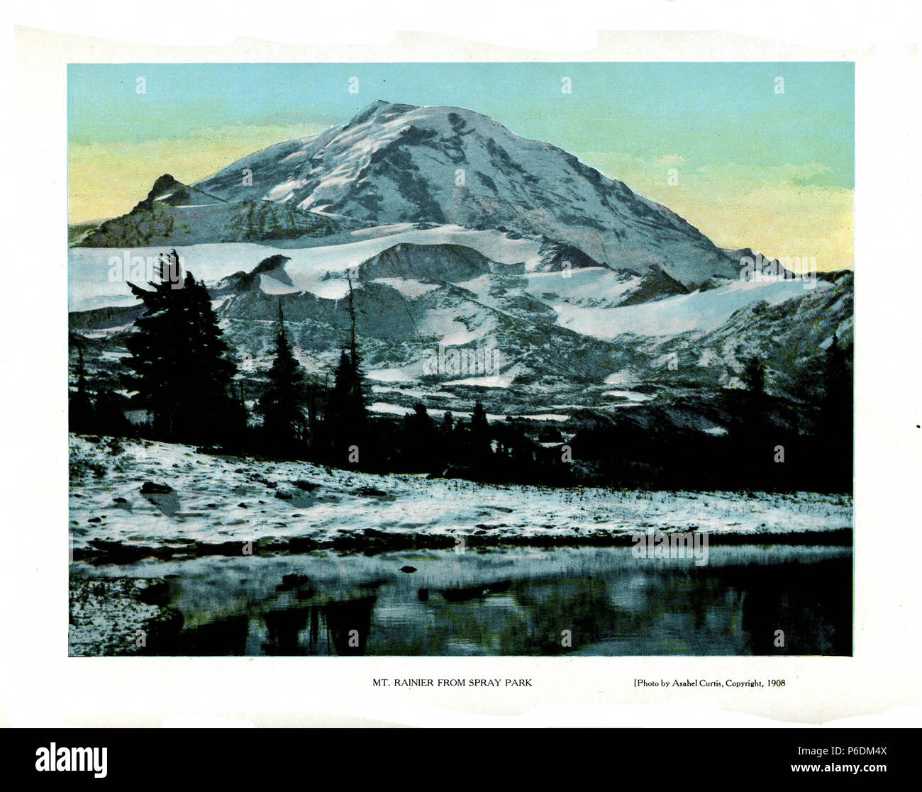Inglese: dai materiali per la Alaska-Yukon-Pacifico Ostensione del 1909, svoltasi a Seattle. Il 'Monte Ranieri da spruzzare Park". Spray Park è un sito all'interno di Mt. Rainier National Park. Vedere http://www.wta.org/go-hiking/hikes/spray-park. Edizione datata 1909-02-20. Foto copyright 1908. 64 Argus - A.Y.P. ed. - Pagina 24b Foto Stock