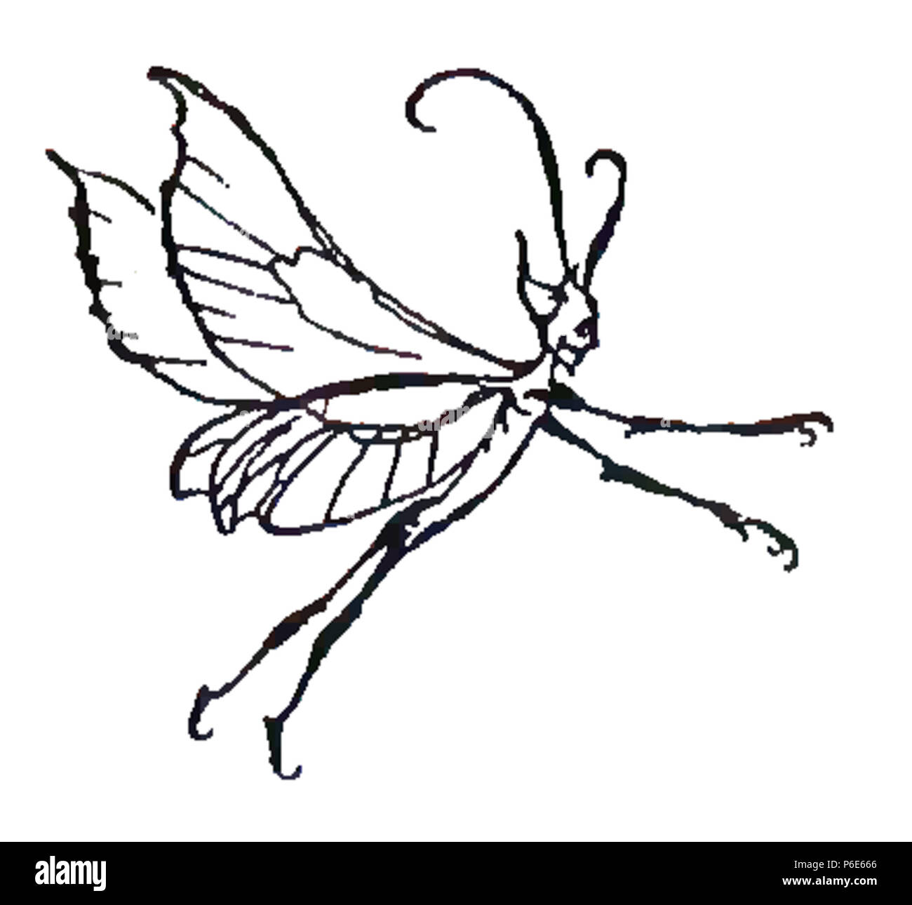 67 Piotruś Pan p0011a Foto Stock