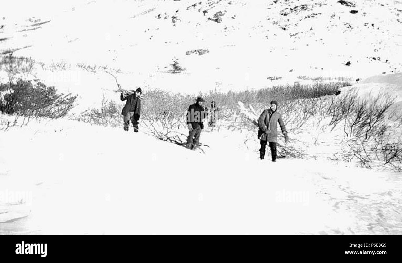 . Inglese: superstiti del naufragio della FARALLON la raccolta di legna da ardere, Iliamna Bay, Gennaio 1910 . Inglese: l Alaska Steamship Co. goletta a vapore Farallon che serviced southeastern Alaska è stata smantellata nel Iliamna Bay il 5 gennaio 1910. John Thwaites fu tra i naufraghi passeggeri. PH Coll 247.64 soggetti (LCTGM): fuelwood raggruppare--Alaska; Fuelwood--Alaska; uomini--Alaska; neve--Alaska; Alaska Steamship Co.--persone -- Alaska soggetti (LCSH): Naufragio vittime--Alaska--Iliamna Bay; la sopravvivenza dopo l aereo incidenti, naufragi, ecc.--Alaska--Iliamna Bay; Farallon (nave) . 1910 76 Survivo Foto Stock