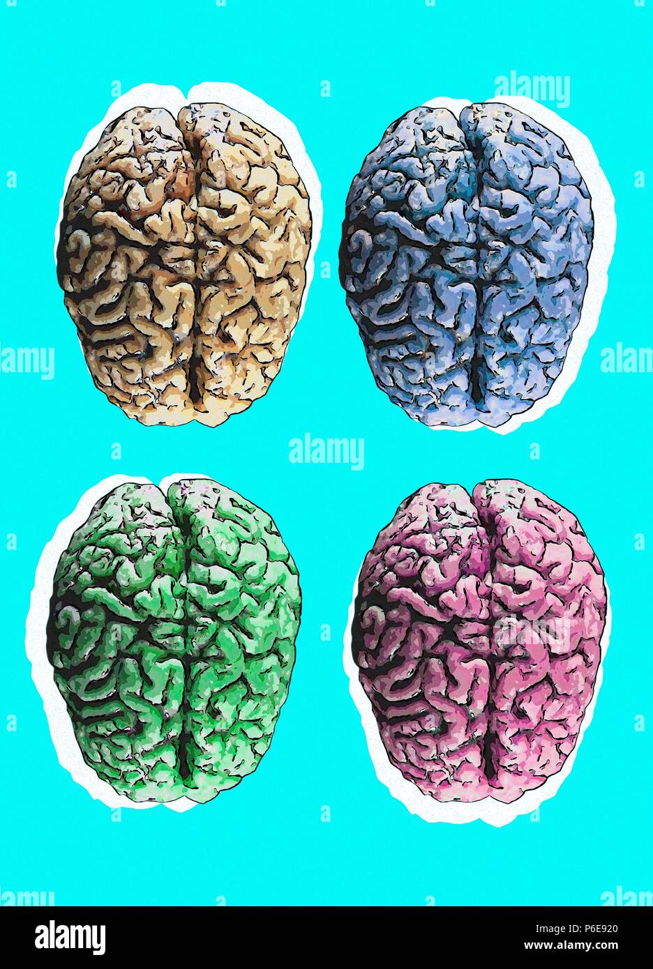 Cervelli umani contro sfondo blu, illustrazione. Foto Stock