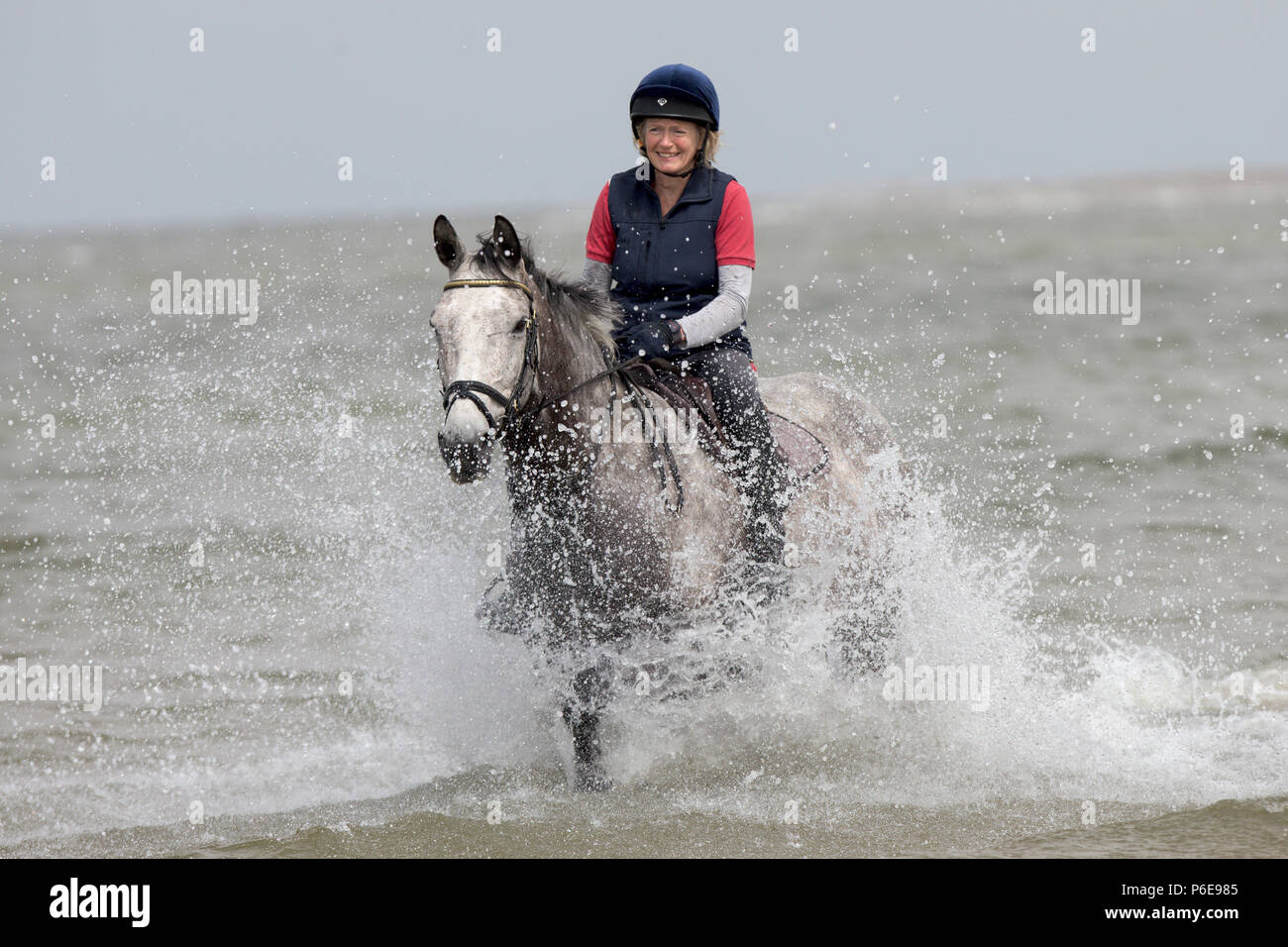 Un cavallo Cavaliere il raffreddamento in mare dalla spiaggia Holkham in Norfolk come l'ondata di caldo continua. Cavalli raffreddato da schizzi in mare in Norfolk oggi (giovedì) come l'ondata di caldo in Gran Bretagna continua con altissime temperature. I cavalli hanno preso all'acqua a Holkham spiaggia come gran parte del paese godeva di un altro e calda giornata di sole con temperature di 30C in parti di Inghilterra e 32C in Scozia. Foto Stock