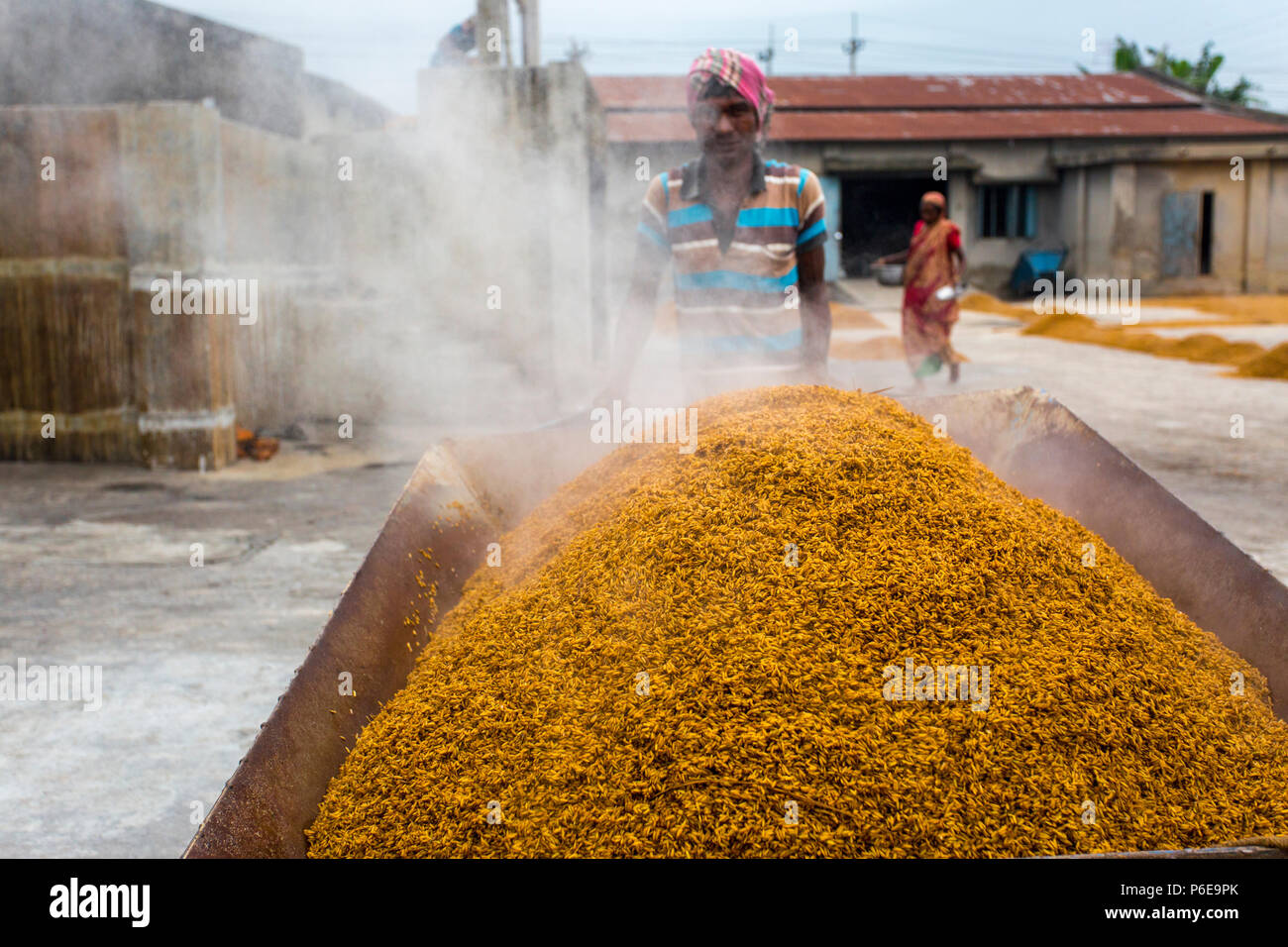 Il riso lavorato viene portato fuori a Ishwardi Upazila, Pabna del distretto di Rajshahi Divisione, Bangladesh. Foto Stock