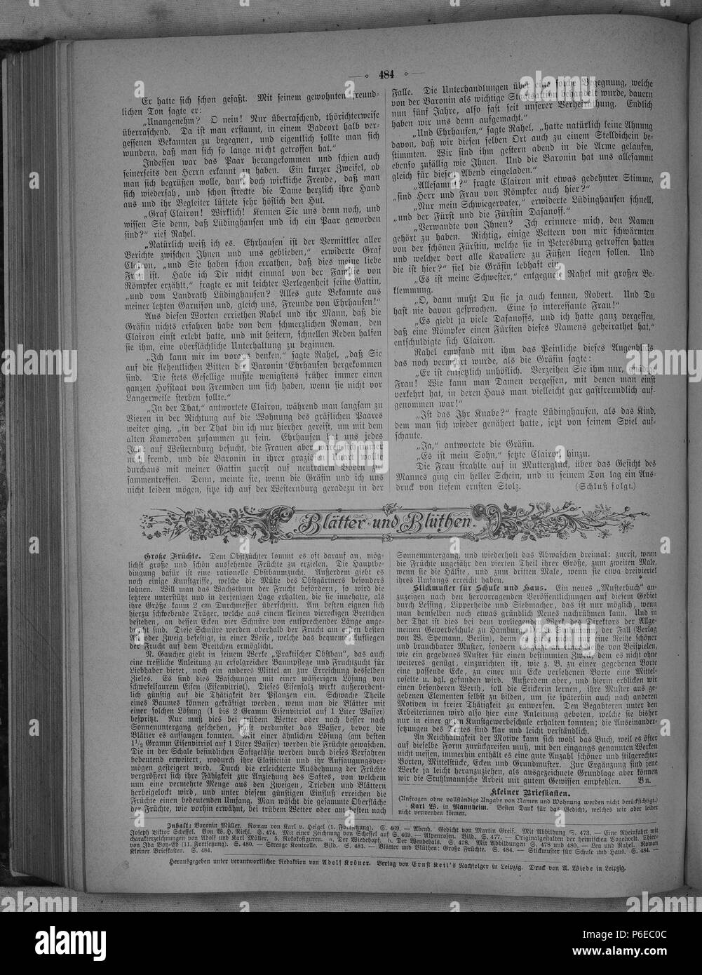 . Die Gartenlaube. Deutsch: Seite 484 aus 'Die Gartenlaube'. Inglese: pagina 484 ufficiale Die Gartenlaube per 1891. Immagine estratta (eventuale): File:Die Gartenlaube (1891) b 484.jpg - hi res, 2,5 MB. Deutsch: keine Bildunterschrift inglese: nessuna didascalia . N/A 15 Die Gartenlaube (1891) 484 Foto Stock