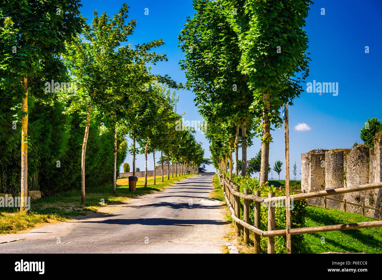 Il medievale cinta fortificata fu costruita nel XIII secolo a Provins, Francia Foto Stock