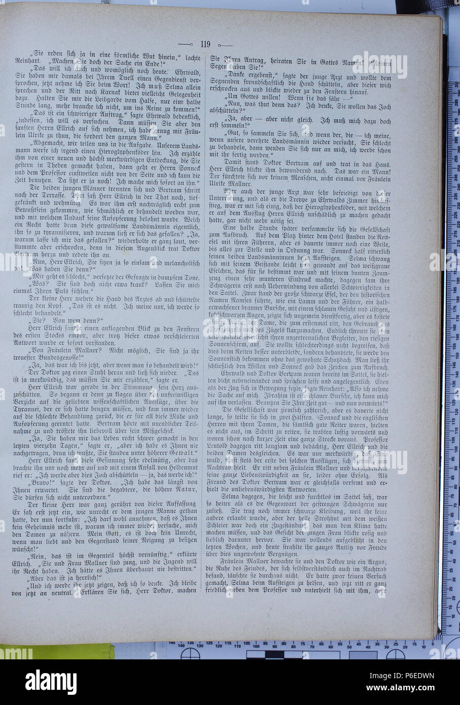 . Die Gartenlaube. Errore di espressione: parola sconosciuta 'Die'. Deutsch: keine Bildunterschrift inglese: nessuna didascalia . N/A 23 Die Gartenlaube (1896) 0119 Foto Stock