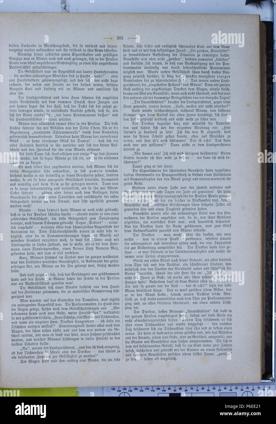 . Die Gartenlaube. Errore di espressione: parola sconosciuta 'Die'. Deutsch: keine Bildunterschrift inglese: nessuna didascalia . N/A 25 Die Gartenlaube (1896) 0303 Foto Stock