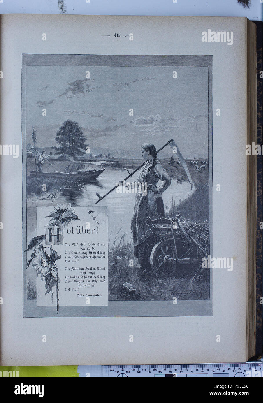 . Die Gartenlaube. Errore di espressione: parola sconosciuta 'Die'. Deutsch: keine Bildunterschrift inglese: nessuna didascalia . N/A 25 Die Gartenlaube (1896) 0445 Foto Stock