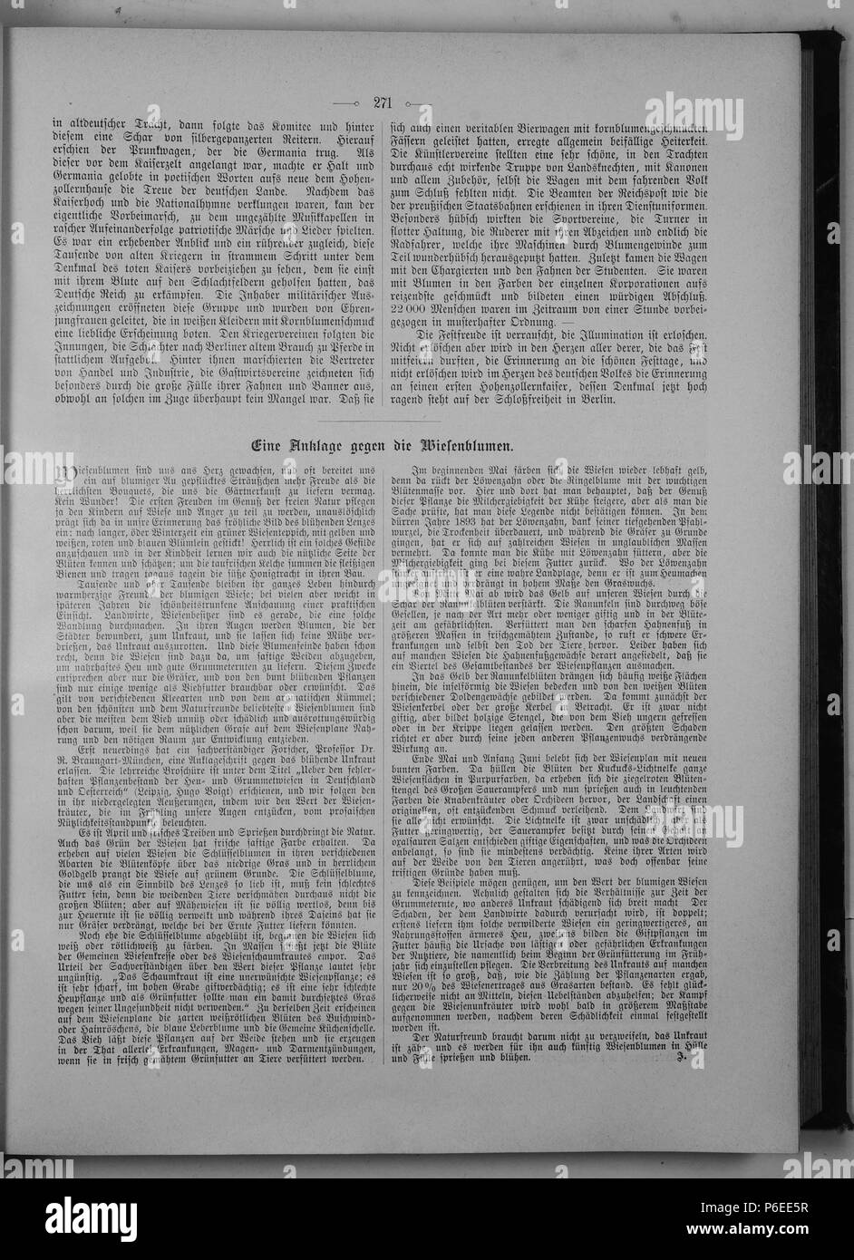 . Die Gartenlaube. Deutsch: Seite 271 aus 'Die Gartenlaube'. Inglese: pagina 271 da ufficiale Die Gartenlaube per 1897. Immagine estratta (eventuale): File:Die Gartenlaube (1897) b 271.jpg - hi res, 2,5 MB. Deutsch: keine Bildunterschrift inglese: nessuna didascalia . N/A 29 Die Gartenlaube (1897) 271 Foto Stock