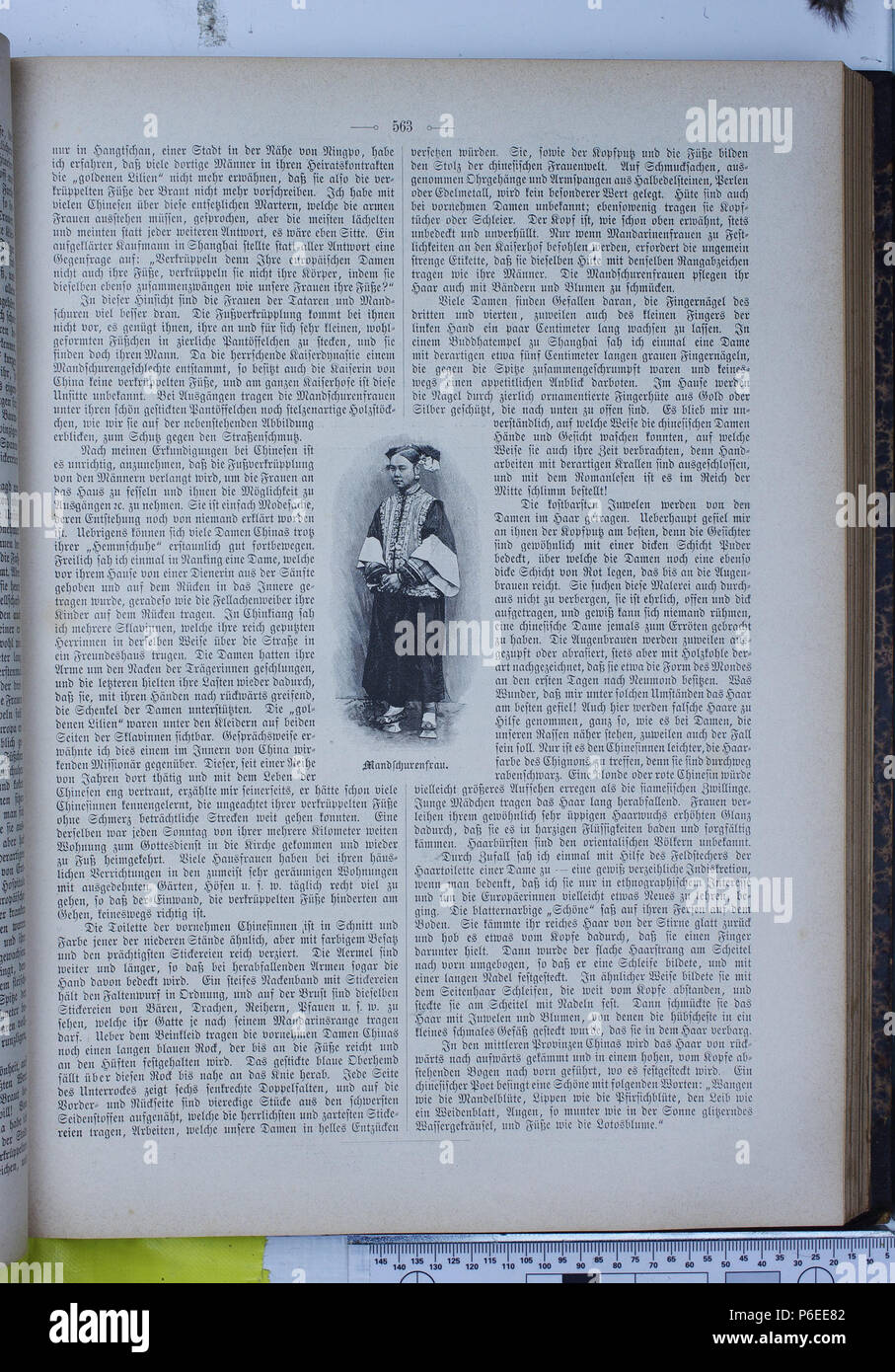 . Die Gartenlaube. Errore di espressione: parola sconosciuta 'Die'. Deutsch: keine Bildunterschrift inglese: nessuna didascalia . N/A 26 Die Gartenlaube (1896) 0563 Foto Stock