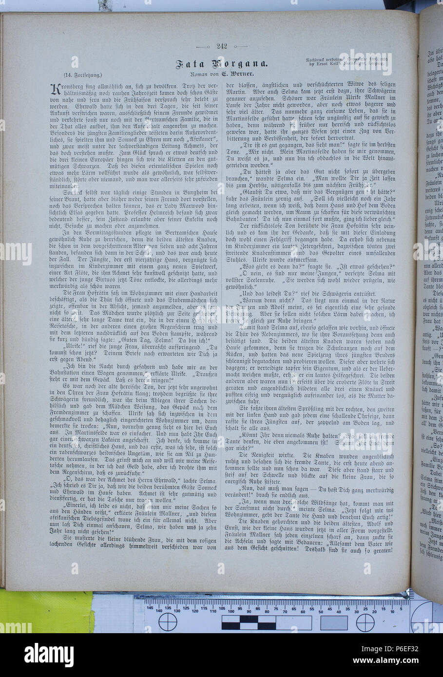 . Die Gartenlaube. Errore di espressione: parola sconosciuta 'Die'. Deutsch: keine Bildunterschrift inglese: nessuna didascalia . N/A 24 Die Gartenlaube (1896) 0242 Foto Stock