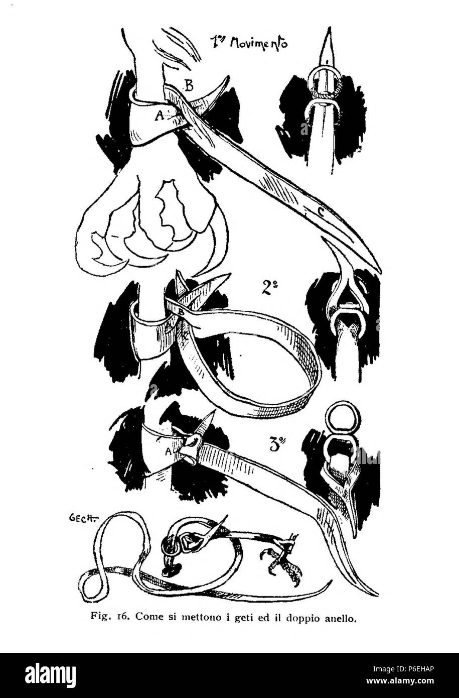 Español: Fig. 16. Come si mettono i geti ed il doppio anello. 1906 1 1906, Manuale del moderno falconiere, Fig. 16, come si mettono i geti ed il doppio anello, Gech Foto Stock