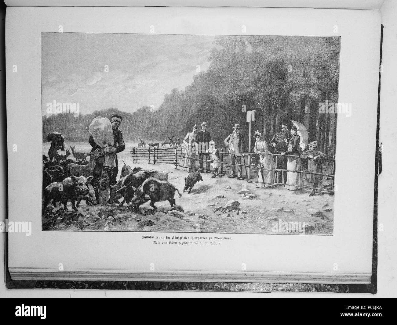 . Die Gartenlaube. Deutsch: Seite 737 aus 'Die Gartenlaube'. Inglese: pagina 737 da ufficiale Die Gartenlaube per 1895. Immagine estratta (eventuale): File:Die Gartenlaube (1895) b 737.jpg - hi res, 2,5 MB. Deutsch: keine Bildunterschrift inglese: nessuna didascalia . N/A 22 Die Gartenlaube (1895) 737 Foto Stock