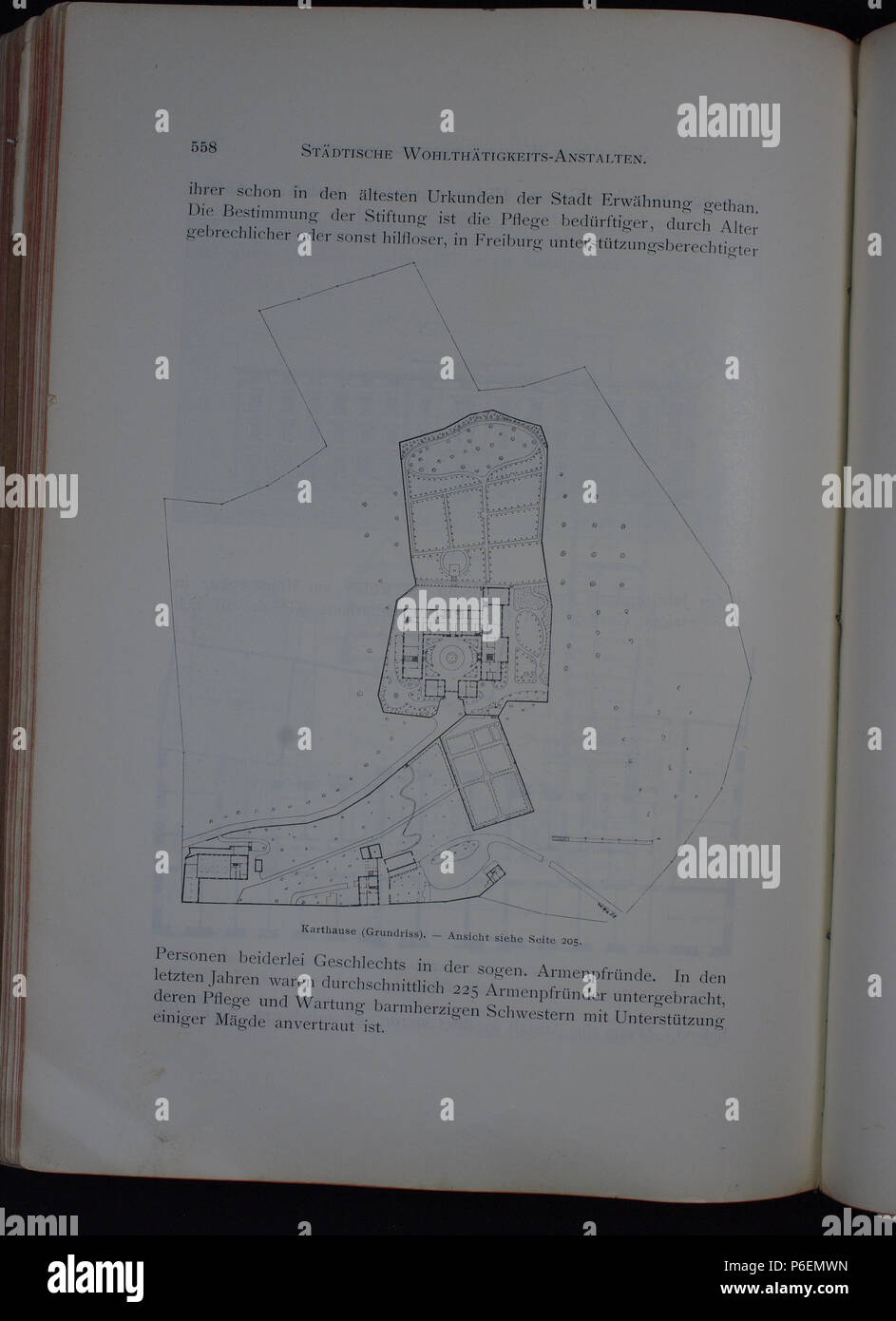 . Freiburg im Breisgau. Die Stadt und ihre Bauten. N/A 47 Freiburg Bauten 558 Foto Stock
