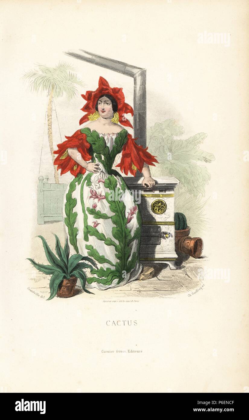 Cactus fiore fata, Disocactus speciosus, nel cofano motore e i manicotti di fiori, con abito di foglie, in piedi accanto a una stufa in una serra. Acciaio Handcolored incisione di C. Geoffrois dopo una illustrazione di Jean Ignace Isidore Grandville da 'Les Fleurs Animees", Parigi, Gabriel de Gonet, 1847. Foto Stock