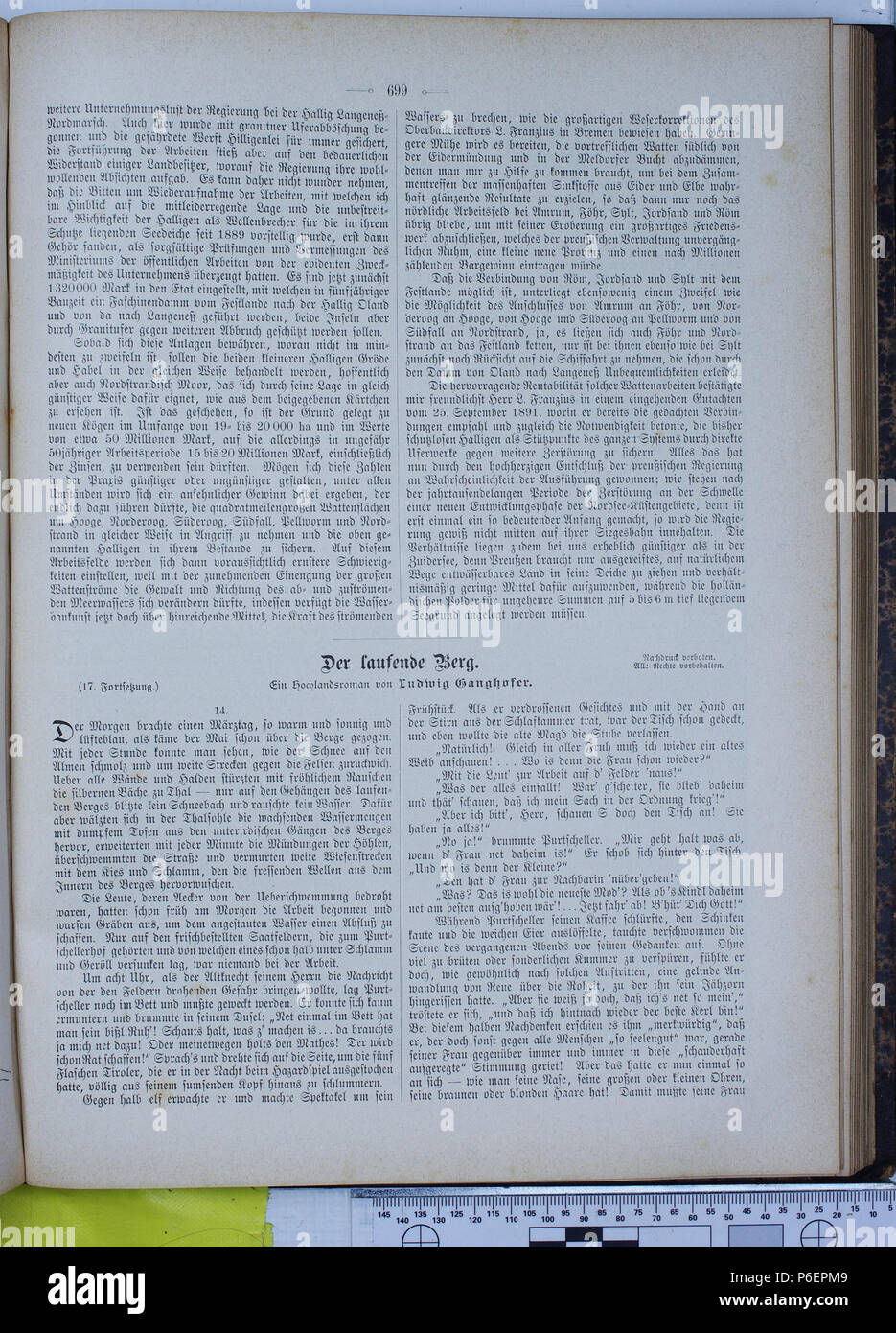 . Die Gartenlaube. Errore di espressione: parola sconosciuta 'Die'. Deutsch: keine Bildunterschrift inglese: nessuna didascalia . N/A 27 Die Gartenlaube (1896) 0699 Foto Stock