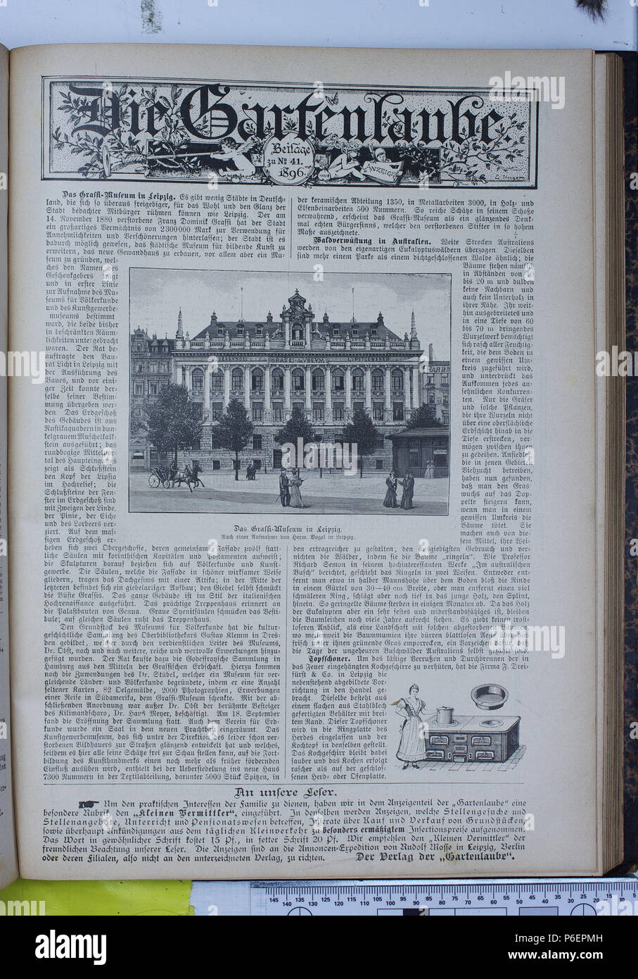 . Die Gartenlaube. Errore di espressione: parola sconosciuta 'Die'. Deutsch: keine Bildunterschrift inglese: nessuna didascalia . N/A 27 Die Gartenlaube (1896) 0708 un Foto Stock