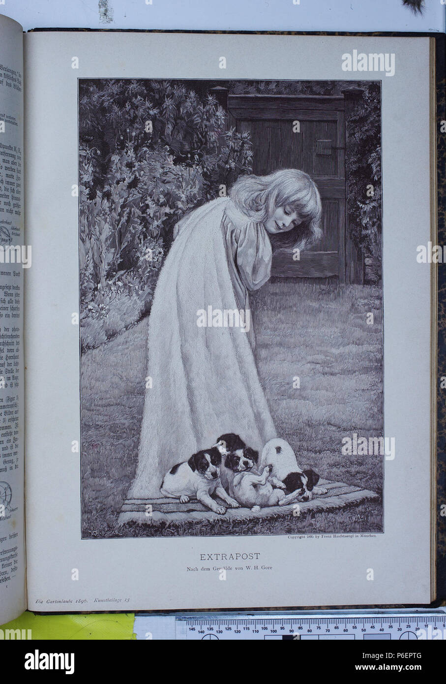 . Die Gartenlaube. Errore di espressione: parola sconosciuta 'Die'. Deutsch: keine Bildunterschrift inglese: nessuna didascalia . N/A 28 Die Gartenlaube (1896) 0864 un Foto Stock