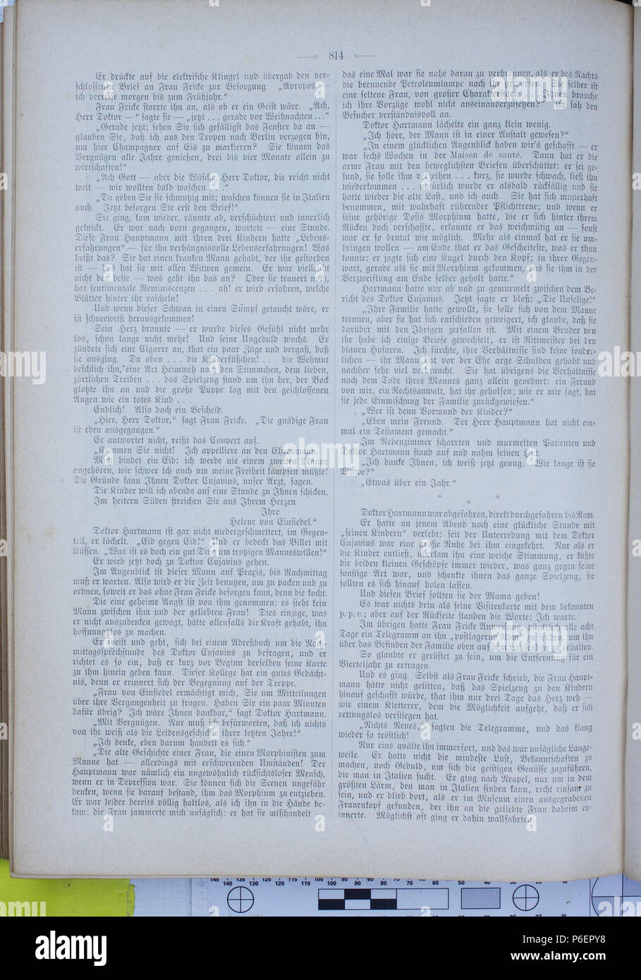 . Die Gartenlaube. Errore di espressione: parola sconosciuta 'Die'. Deutsch: keine Bildunterschrift inglese: nessuna didascalia . N/A 27 Die Gartenlaube (1896) 0814 Foto Stock