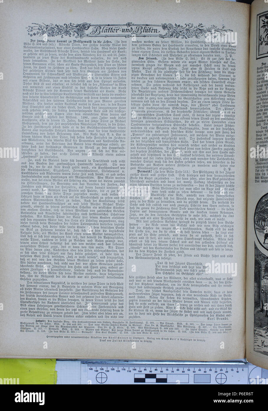 . Die Gartenlaube. Errore di espressione: parola sconosciuta 'Die'. Deutsch: keine Bildunterschrift inglese: nessuna didascalia . N/A 26 Die Gartenlaube (1896) 0516 Foto Stock