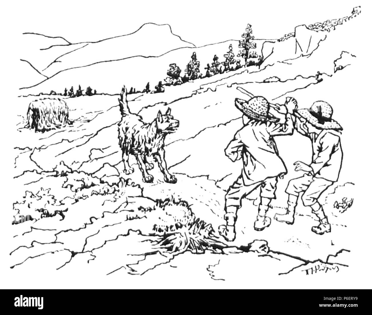 83 Μαντροσκυλο Foto Stock