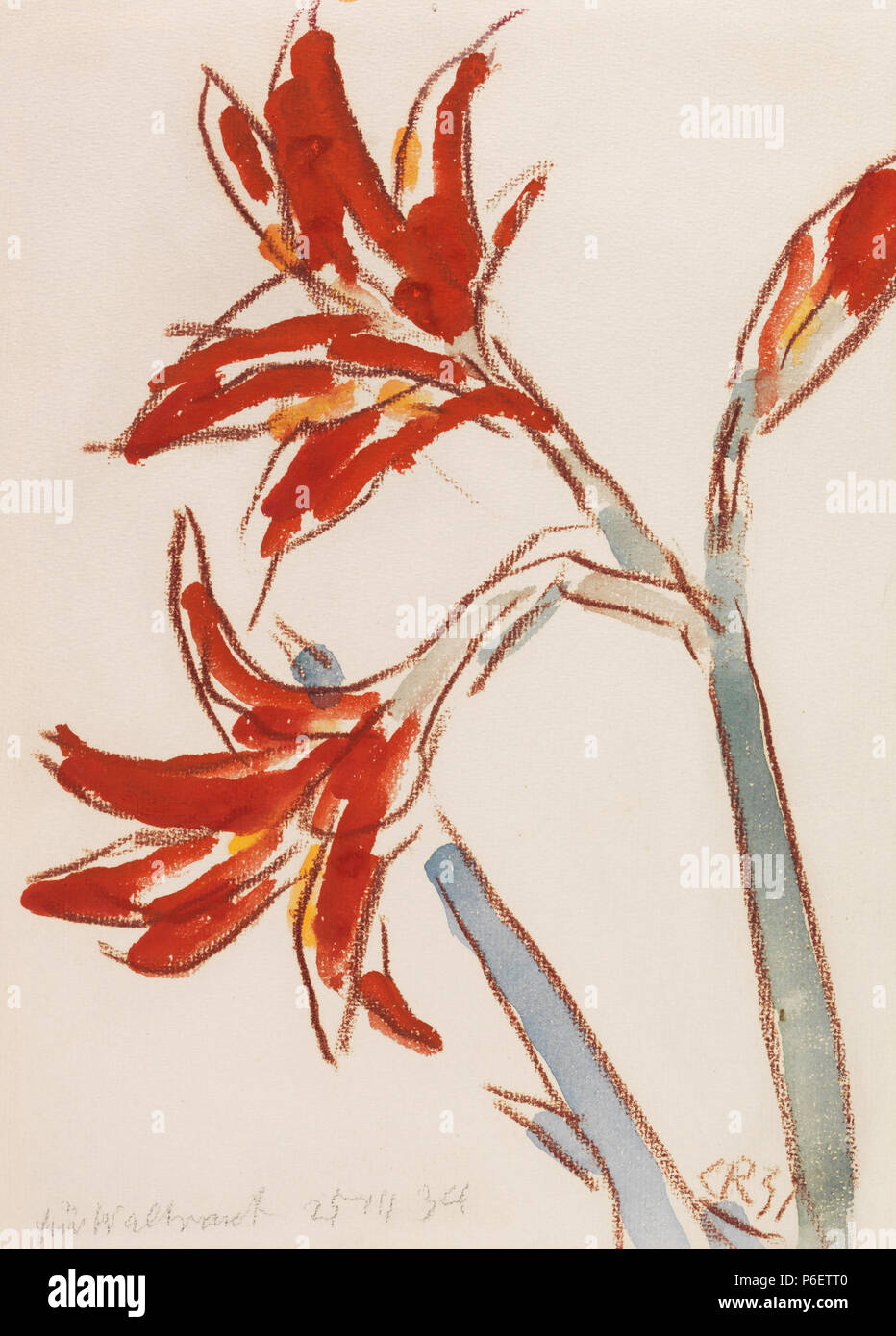 Deutsch: Roter Amaryllis. Aquarell und Farbkreide auf chamoisfarbenem Papier. Rechts unten monogrammiert und datiert sowie mit späterer Widmung "für Waltraut 25 III 34'. 32,6 x 23,7 cm . 1931 10 Christian Rohlfs Roter Amaryllis 1931 Foto Stock