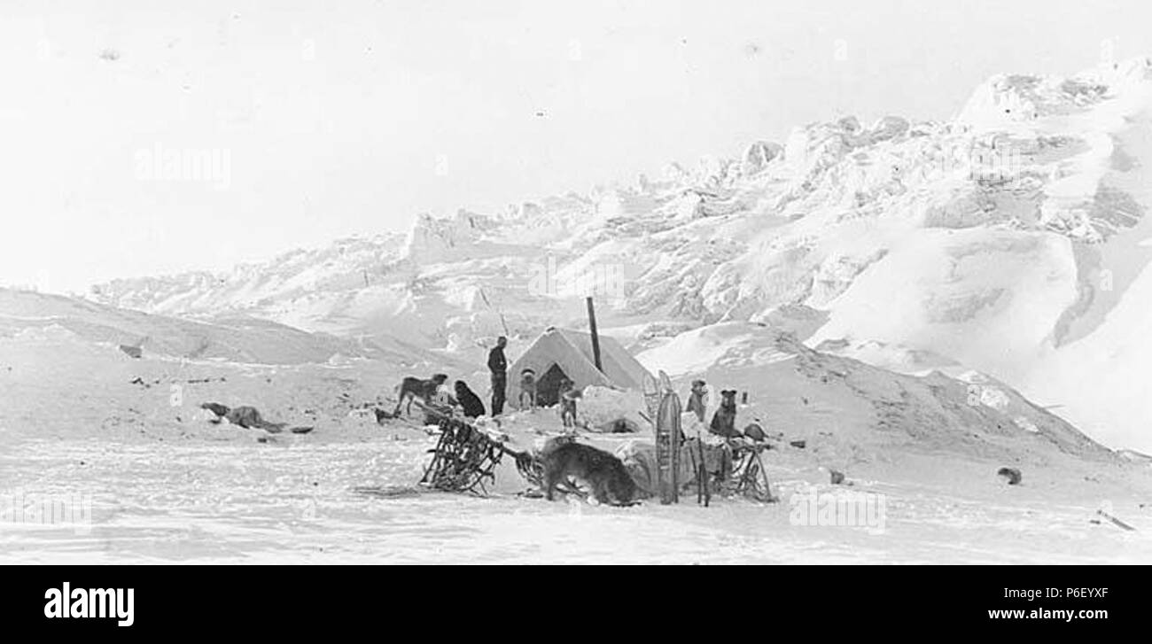 . Inglese: slitta trainata da cani team e piloti accanto alla tenda, ca. 1912 . Inglese: PH Coll 247.880 soggetti (LCTGM): Dogsledding--Alaska; Cane squadre--Alaska; Tende--Alaska; neve--Alaska soggetti (LCSH): slitte trainate da cani -- Alaska; slittini -- Alaska; Mushers--Alaska . circa 1912 39 slitta trainata da cani team e piloti accanto alla tenda, ca 1912 THWAITES (395) Foto Stock