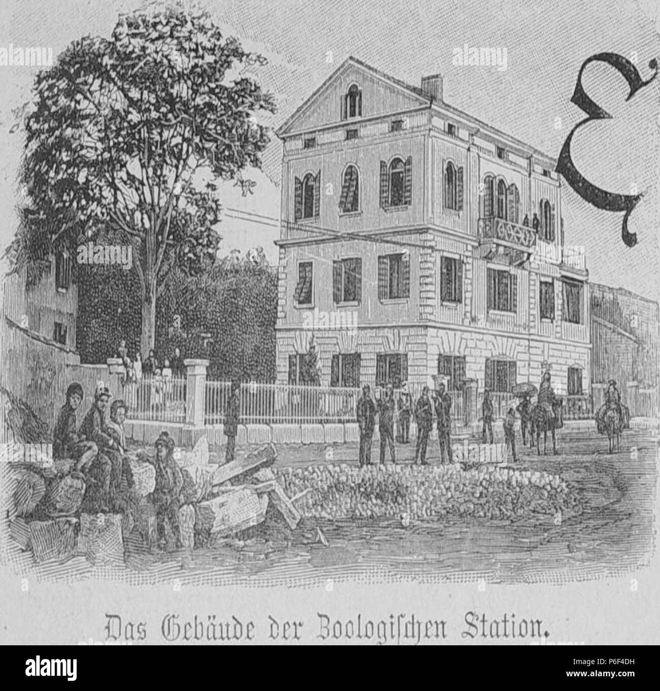 . Die Gartenlaube. Bild aus Seite 284 in 'Die Gartenlaube'. Immagine dalla pagina 284 di ufficiale Die Gartenlaube, 1897. Deutsch: Bildunterschrift: "Das Gebäude der stazione Zoologischen." inglese: didascalia: 'Dcome Gebäude der stazione Zoologischen." . N/A 33 Die Gartenlaube (1897) b 284 1 Foto Stock