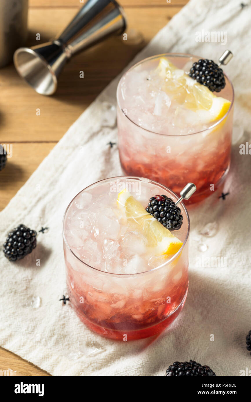 Blackberry alcolico Gin rovo cocktail con il limone Foto Stock