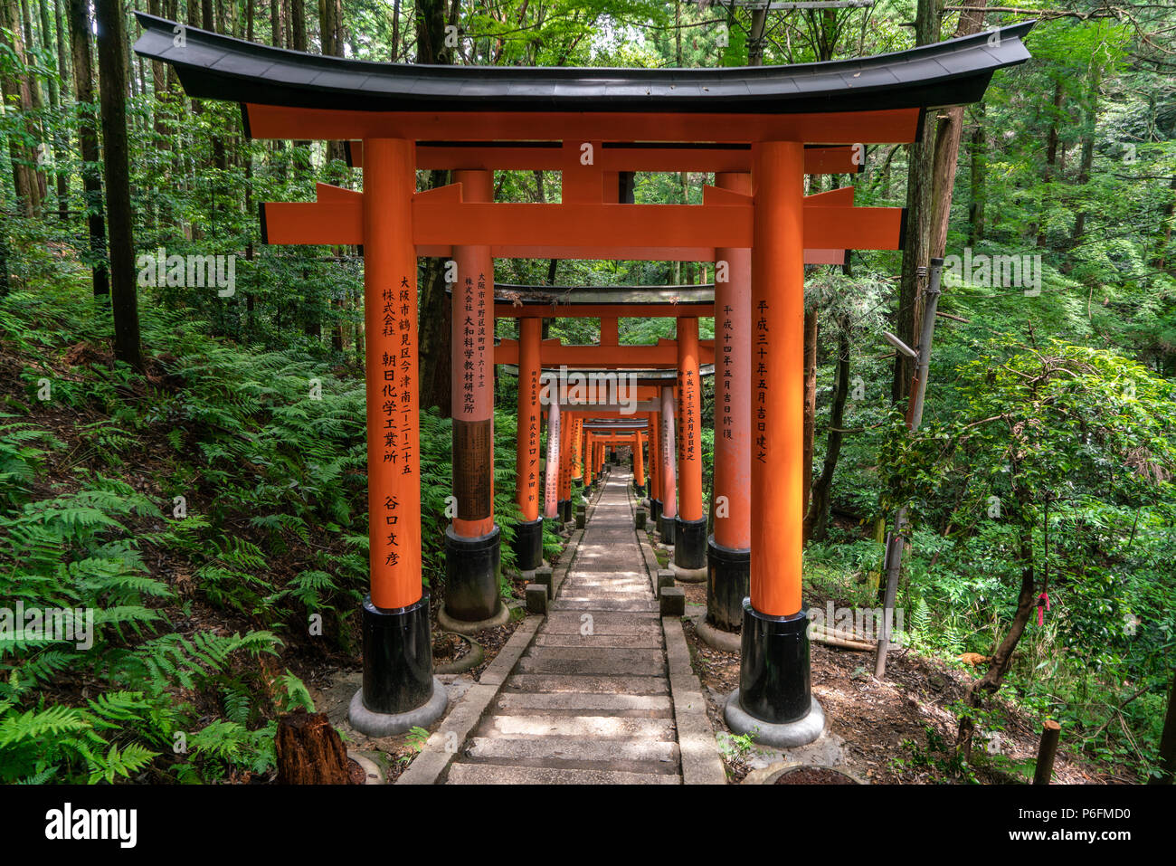 KYOTO, Giappone - 1/6/2018: Il sentiero coperto da torii gates in Fushimi Inari Shrine in Kyoto. Foto Stock