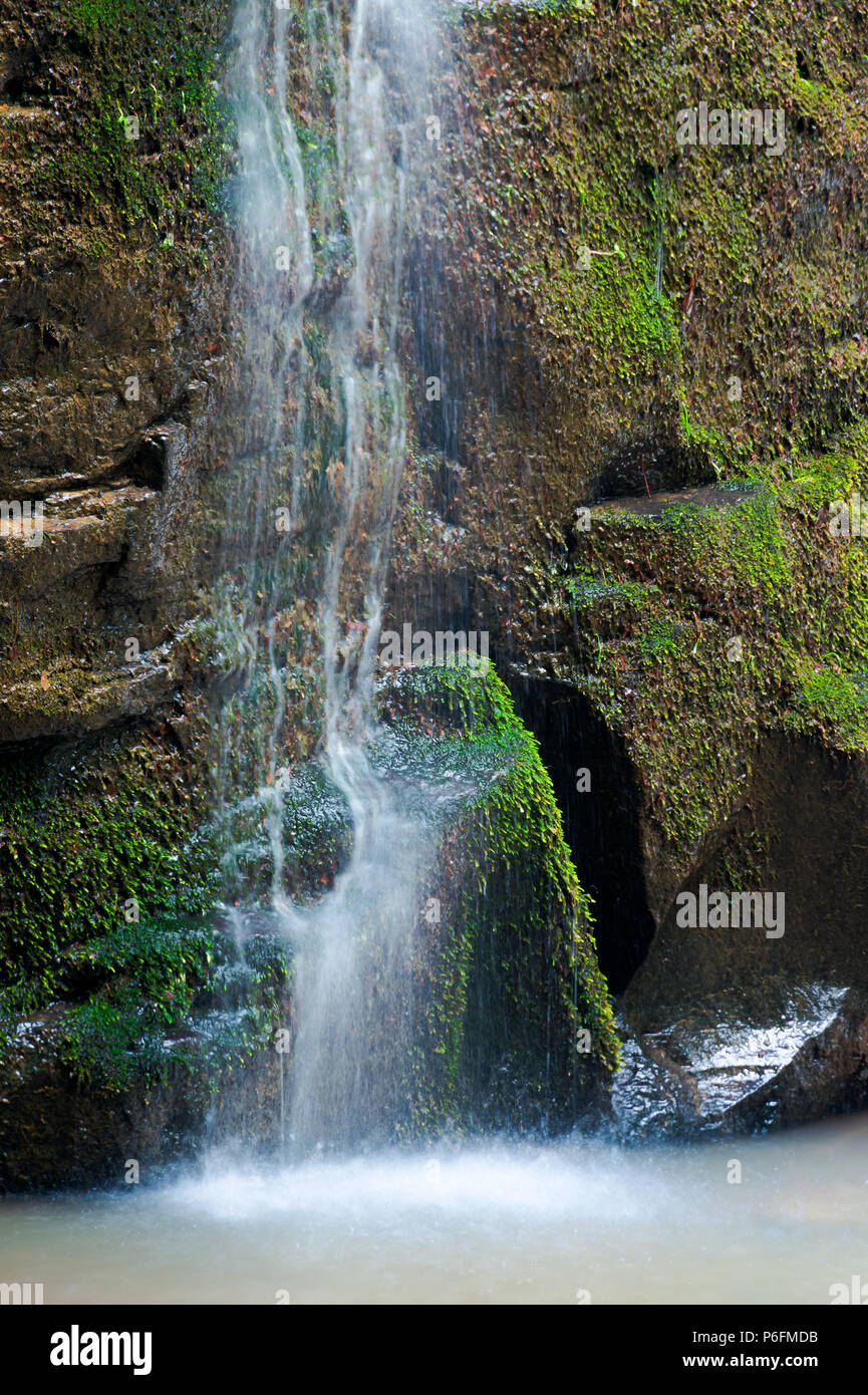 In prossimità della cascata cascata sopra la roccia di muschio. bella calma della natura sfondo. la freschezza e la forza dell'acqua. chiaro ambiente e risorse con Foto Stock