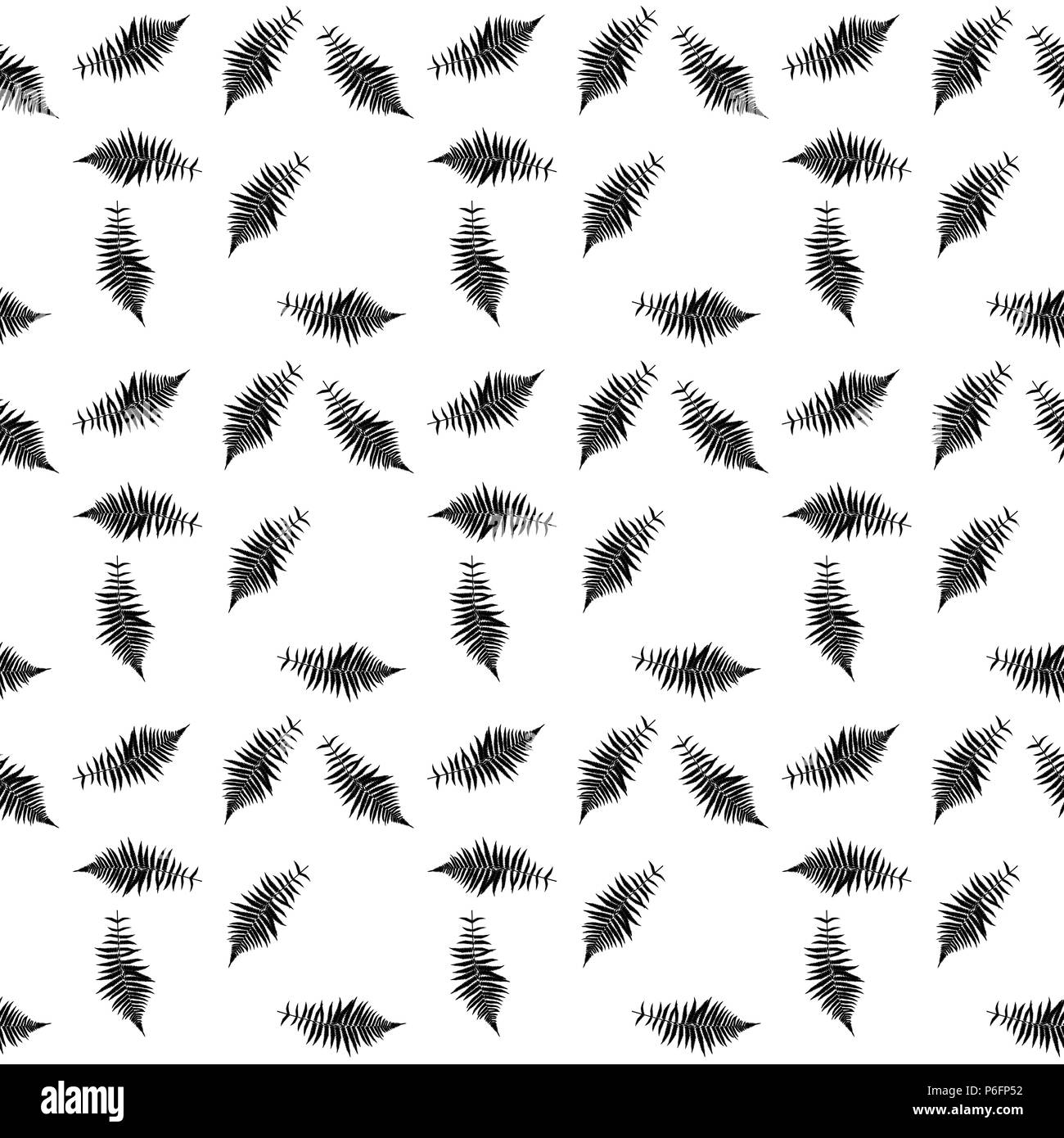 In bianco e nero della silhouette Libistones foglia di cinesi, Southern palm. Modello senza giunture. Illustrazione Vettoriale. Illustrazione Vettoriale