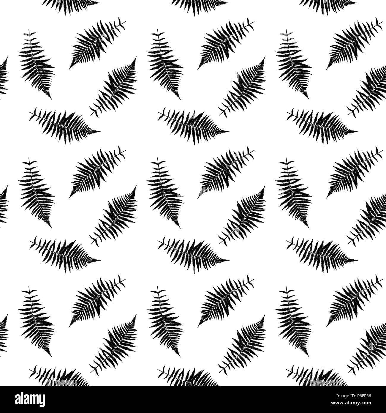 In bianco e nero della silhouette Libistones foglia di cinesi, Southern palm. Modello senza giunture. Illustrazione Vettoriale. Illustrazione Vettoriale