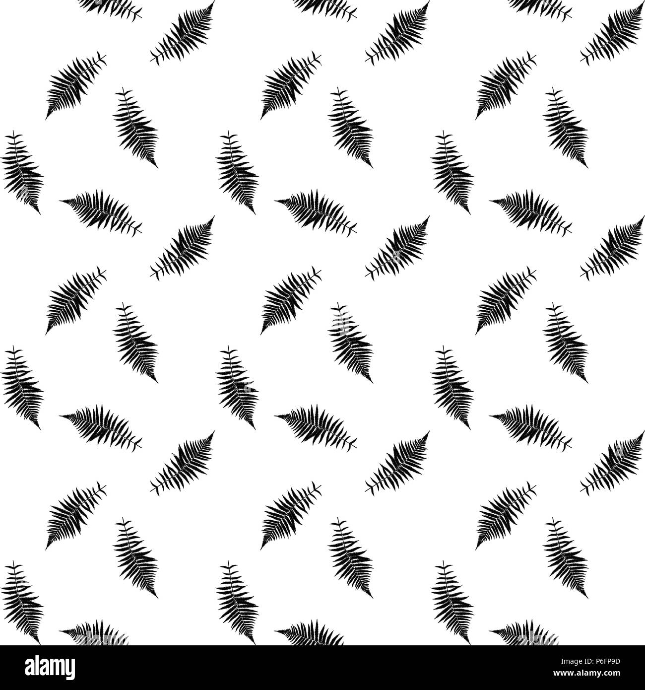 In bianco e nero della silhouette Libistones foglia di cinesi, Southern palm. Modello senza giunture. Illustrazione Vettoriale. Illustrazione Vettoriale