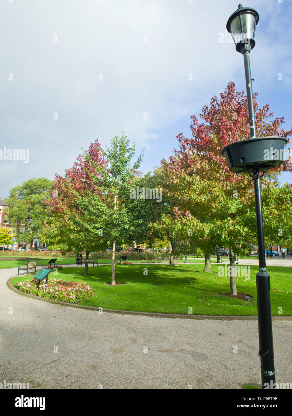 Autumn Trees Leeds City Centre Urban Park Regno Unito Foto Stock