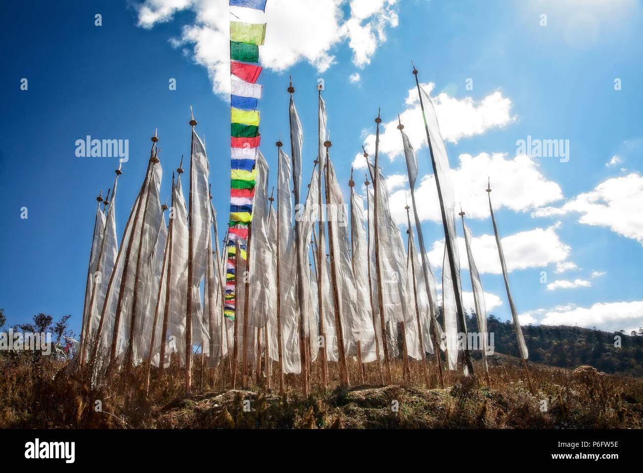 Bandiere di preghiera a Pele La (pass) nel centro di Bhutan sono lì per assicurare la salute e la sicurezza per tutti coloro che passano. Foto Stock