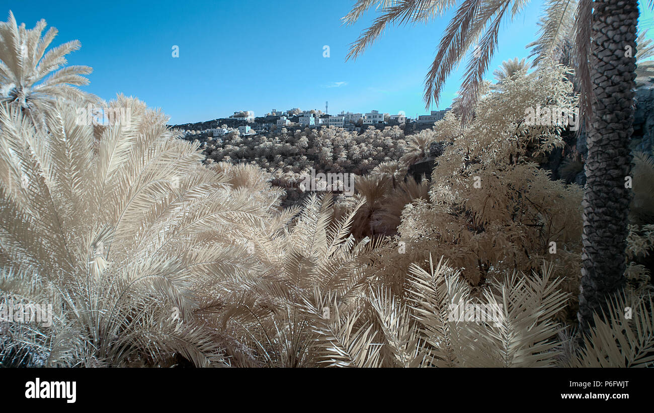 Il paesaggio di un villaggio in cima a una montagna tra la fitta vegetazione prese con una telecamera a raggi infrarossi Foto Stock