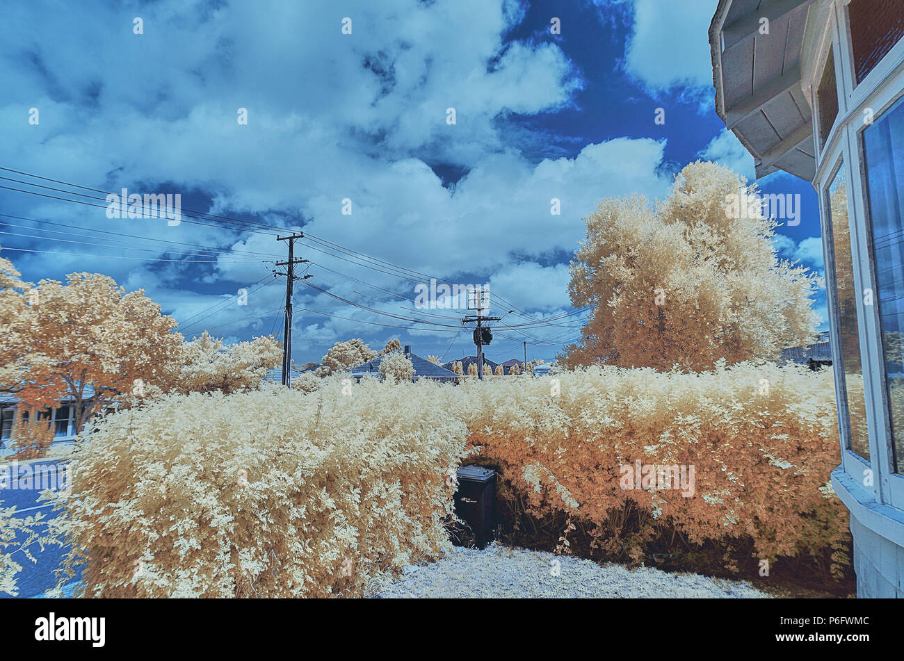 Paesaggio in falsi colori presi ad infrarossi fotocamera modificati Foto Stock