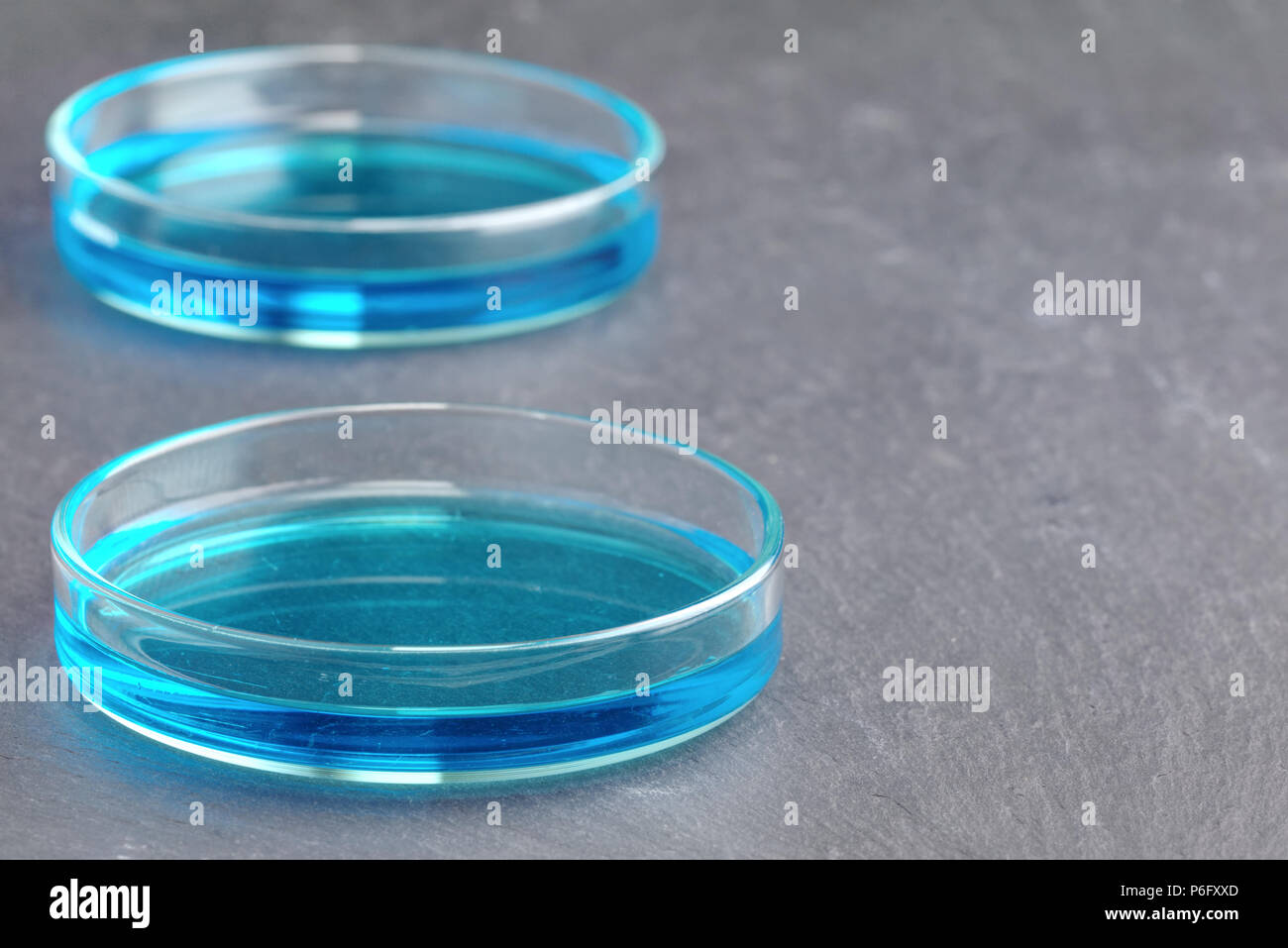 Piastre di Petri di soluzione di solfato di rame (cloruro di rame) blu isolato di liquido sulla superficie di ardesia sfondo scuro con profondità di campo ridotta. Scienza s Foto Stock